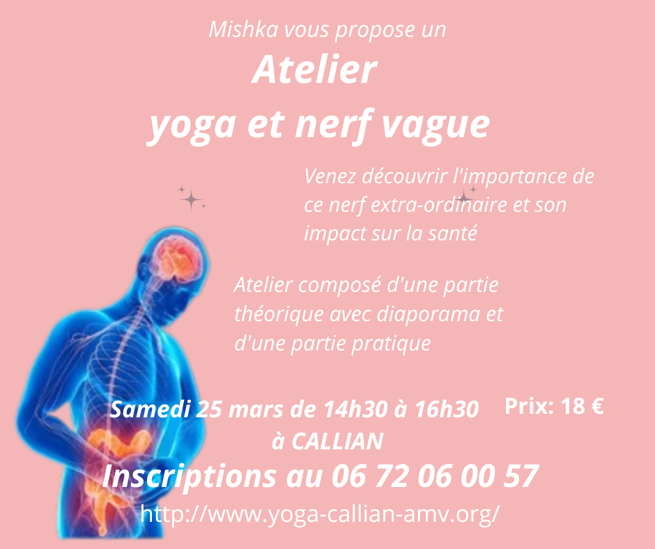 Atelier yoga et nerf vague 4 